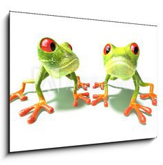 Obraz 1D - 100 x 70 cm F_E3874036 - Grenouilles
