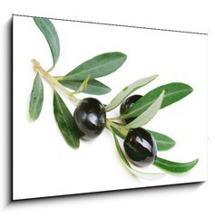 Sklenn obraz 1D - 100 x 70 cm F_E38821931 - Olives over white