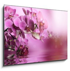 Obraz 1D - 100 x 70 cm F_E39704074 - Orchid flowers composition