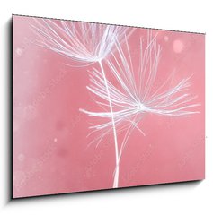 Obraz 1D - 100 x 70 cm F_E399541072 - Dandelion parachutes macro shooting