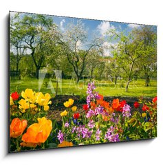 Sklenn obraz 1D - 100 x 70 cm F_E40326527 - Blumen vor Streuobstgarten