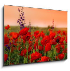 Sklenn obraz 1D - 100 x 70 cm F_E40720767 - Field of poppies on a sunset