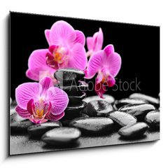 Sklenn obraz 1D - 100 x 70 cm F_E40752844 - orchid - orchidej