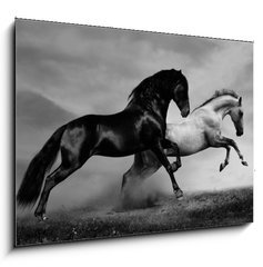 Sklenn obraz 1D - 100 x 70 cm F_E40870436 - horses run