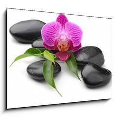 Sklenn obraz 1D - 100 x 70 cm F_E40893585 - orchid - orchidej