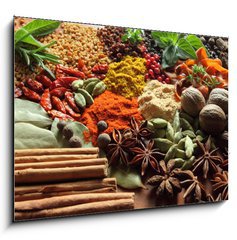 Sklenn obraz 1D - 100 x 70 cm F_E41495761 - Herbs and spices. - Bylinky a koen.