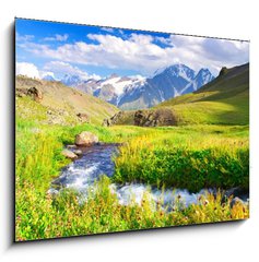 Obraz 1D - 100 x 70 cm F_E41700210 - River on meadow - eka na louce