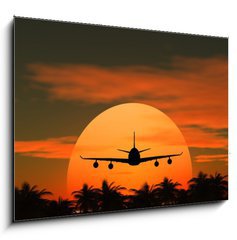Sklenn obraz 1D - 100 x 70 cm F_E41883817 - airplane flying at sunset over the tropical land with palm trees