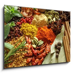 Obraz   Spices and herbs, 100 x 70 cm