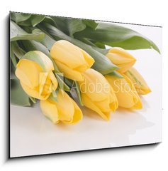 Sklenn obraz 1D - 100 x 70 cm F_E42120397 - Spring tulips isolated on white