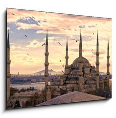 Sklenn obraz 1D - 100 x 70 cm F_E42142890 - The Blue Mosque, Istanbul, Turkey.
