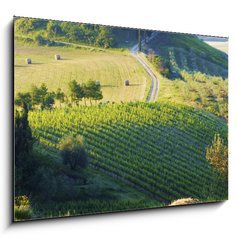 Obraz 1D - 100 x 70 cm F_E42859045 - campagna Toscana, Italia