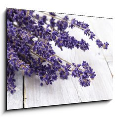 Sklenn obraz 1D - 100 x 70 cm F_E42892060 - Lavendel