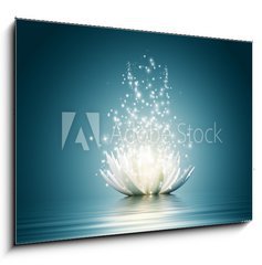 Sklenn obraz 1D - 100 x 70 cm F_E43535323 - Lotus flower