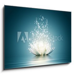 Sklenn obraz 1D - 100 x 70 cm F_E43535323 - Lotus flower - lotosov kvt