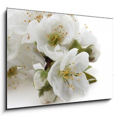 Obraz 1D - 100 x 70 cm F_E43742394 - fleurs