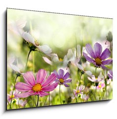 Sklenn obraz 1D - 100 x 70 cm F_E43864342 - kwiaty