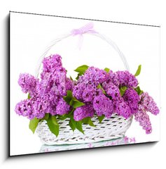 Sklenn obraz 1D - 100 x 70 cm F_E43978997 - beautiful lilac flowers in basket isolated on white