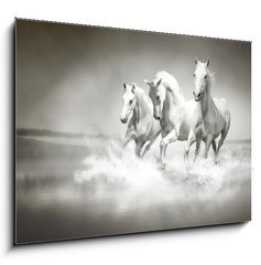 Sklenn obraz 1D - 100 x 70 cm F_E44040199 - Herd of white horses running through water - Stdo blch kon protk vodou