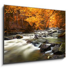 Obraz 1D - 100 x 70 cm F_E44082572 - Autumn landscape with trees and river - Podzimn krajina se stromy a ekou