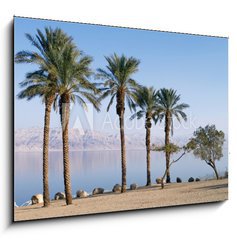 Obraz 1D - 100 x 70 cm F_E44209054 - Dead Sea - Mrtv moe