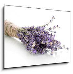 Obraz 1D - 100 x 70 cm F_E44291419 - Lavender flowers isolated on white