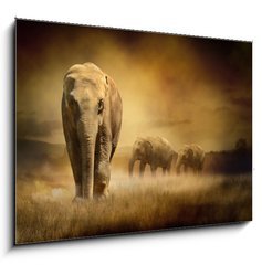 Obraz 1D - 100 x 70 cm F_E44396758 - Elephants at sunset