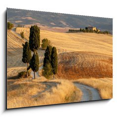 Obraz 1D - 100 x 70 cm F_E44861103 - Tuscan countryside at sunset, near Pienza, Tuscany, Italy - Tosknsk krajina pi zpadu slunce, nedaleko Pienza, Tosknsko, Itlie