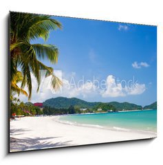 Sklenn obraz 1D - 100 x 70 cm F_E44974964 - vacation on a seashore of perfect tropical island - dovolen na pobe perfektnho tropickho ostrova