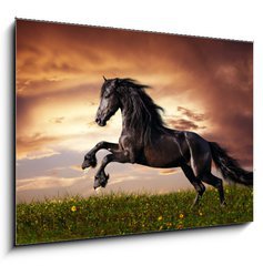 Obraz 1D - 100 x 70 cm F_E45203930 - Black Friesian horse gallop