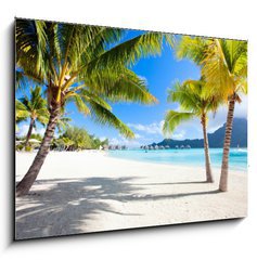 Obraz 1D - 100 x 70 cm F_E45867678 - Bora Bora beach