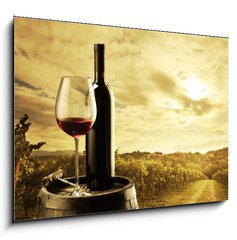 Obraz   Vineyard at sunset, 100 x 70 cm