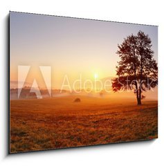 Obraz 1D - 100 x 70 cm F_E47055686 - Alone tree on meadow at sunset with sun and mist - panorama