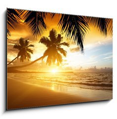 Obraz   sunset on the beach of caribbean sea, 100 x 70 cm