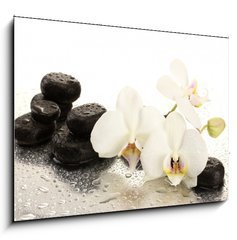 Obraz 1D - 100 x 70 cm F_E47301655 - Spa stones and orchid flowers, isolated on white.