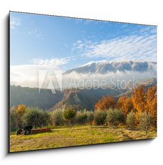 Sklenn obraz 1D - 100 x 70 cm F_E48309327 - Autunno