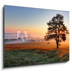 Obraz 1D - 100 x 70 cm F_E48621317 - Alone tree on meadow at sunset with sun and mist