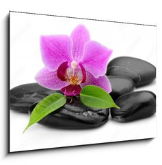 Obraz 1D - 100 x 70 cm F_E48780940 - orchid