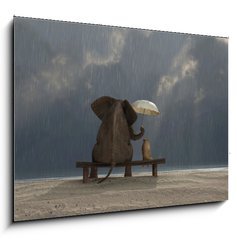 Sklenn obraz 1D - 100 x 70 cm F_E48939769 - elephant and dog sit under the rain - slon a pes sed pod d隝