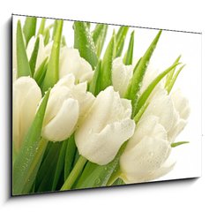 Sklenn obraz 1D - 100 x 70 cm F_E49549577 - Tulipany - Tulipny