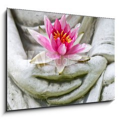 Obraz   Buddha hands holding flower, close up, 100 x 70 cm