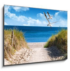 Obraz   Ostseek ste, 100 x 70 cm
