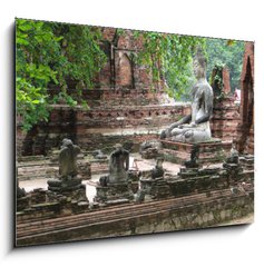 Obraz 1D - 100 x 70 cm F_E50401584 - Rovine templi Buddha