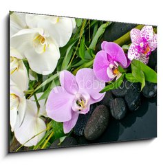 Obraz   Wellness Concept: orchids, bamboo, stone, water, 100 x 70 cm