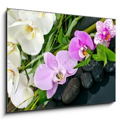 Obraz 1D - 100 x 70 cm F_E50426664 - Wellness Concept: orchids, bamboo, stone, water
