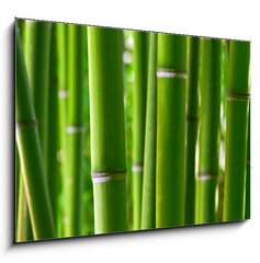 Sklenn obraz 1D - 100 x 70 cm F_E5056687 - Bamboo forest - Bambusov les