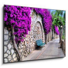 Obraz 1D - 100 x 70 cm F_E50635038 - Vibrant flower draped pathway in Capri, Italy