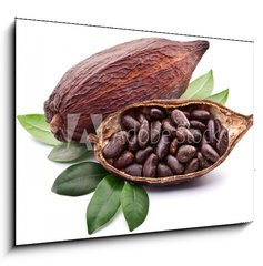 Obraz 1D - 100 x 70 cm F_E50690760 - Cocoa pod - Kakaov lusek