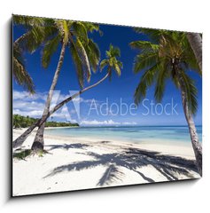 Obraz 1D - 100 x 70 cm F_E51773915 - Tropical paradise - Tropick rj