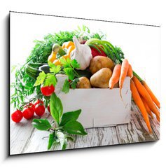 Obraz 1D - 100 x 70 cm F_E52503006 - Fresh vegetable - erstv zelenina
